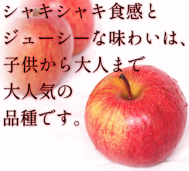 a... Aomori apple 5kg box sun .. home use cool flight free shipping apple with translation 5 kilo box * sun .. house 5kg box 