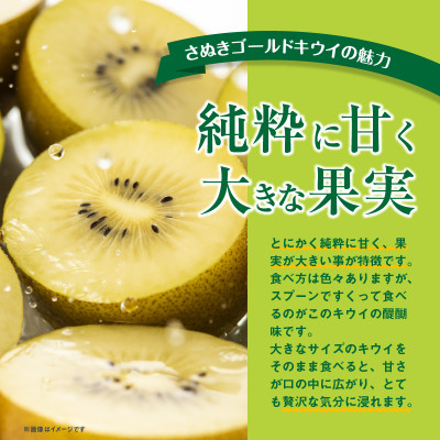 fu.... tax Takamatsu city [ preceding acceptance 2025 year ]... Gold kiwi fruit approximately 3kg