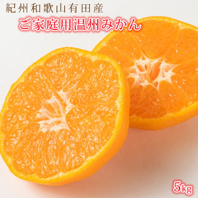 【ふるさと納税】みかん 訳あり品 サイズおまかせ 5kg台 みかん、柑橘類の商品画像