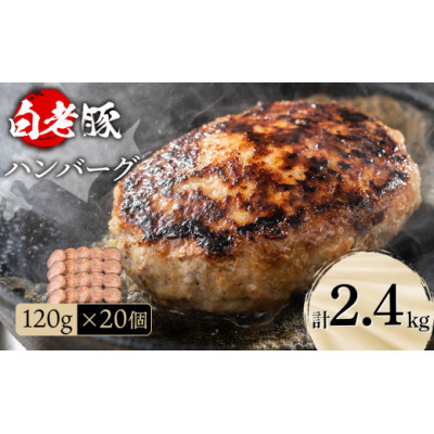 ふるさと納税】ハンバーグ MSサイズ（約120g）×20個 ハンバーグ - 最