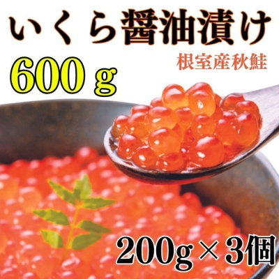 【ふるさと納税】 いくら 醤油漬け 600g台 いくらの商品画像