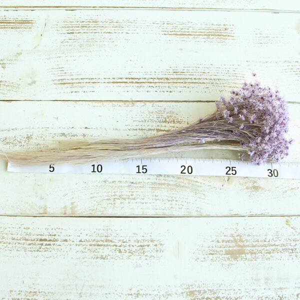 { dry flower material for flower arrangement }* the same day shipping * large ground agriculture . Star flower * Mini light purple dry flower swag bouquet dry flower bouquet lease 
