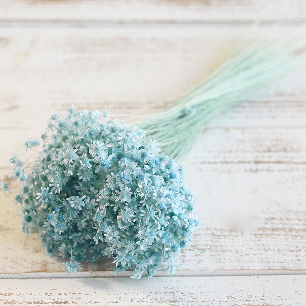 { dry flower material for flower arrangement }* the same day shipping * large ground agriculture . Star flower * Mini baby blue dry flower swag bouquet dry flower bouquet lease 