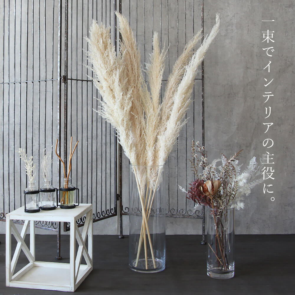 { dry flower material for flower arrangement }* the same day shipping * large ground agriculture . feather bread Pas 0 bread Pas gla Span Pas series soft . dry flower swag bouquet 