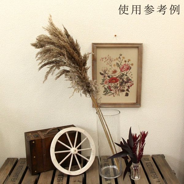  dry flower material for flower arrangement * the same day shipping * higashi person trade feather Lead L natural . bread Pas series dry flower swag bouquet dry flower bouquet material for flower arrangement 