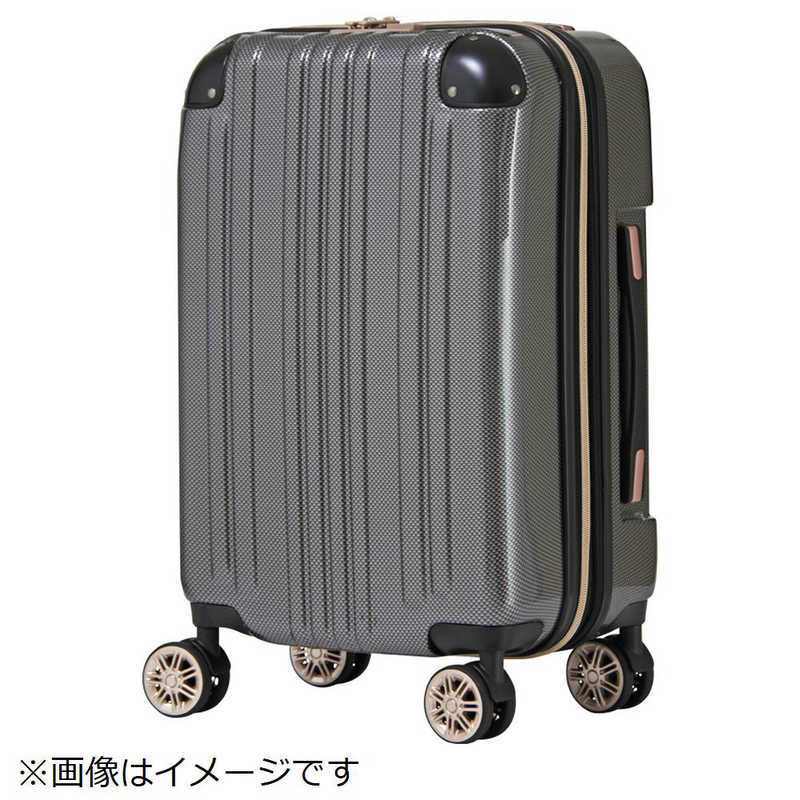 レジェンドウォーカー スーツケース SSサイズ ファスナータイプ 5122-48（カーボン） 旅行用品　機内持込み可能ハードスーツケースの商品画像