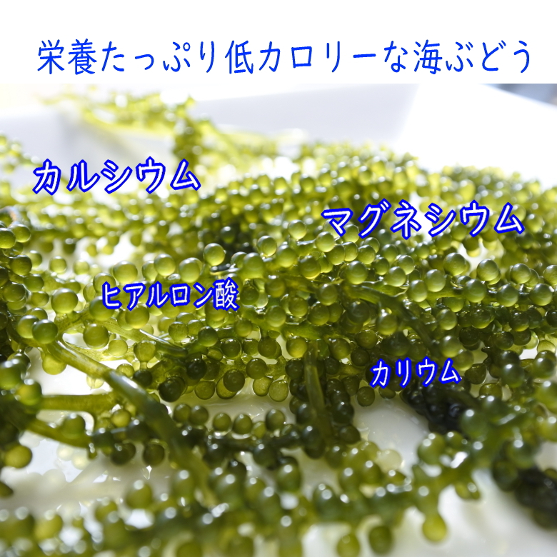  Okinawa префектура производство благодарность. море виноград 50g×3 пакет tare есть несессер нет 