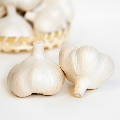 fu.... tax three . city Aomori prefecture three . city production garlic 1kg( production person direct delivery )