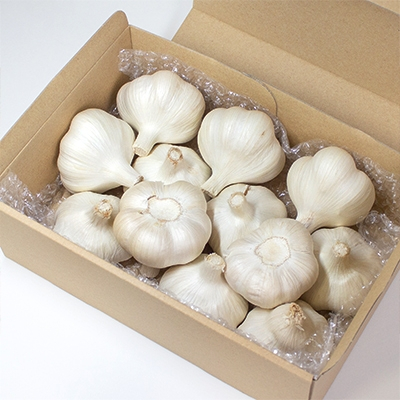 fu.... tax three . city Aomori prefecture three . city production garlic 1kg( production person direct delivery )