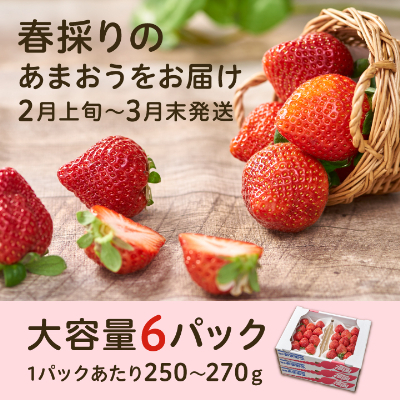 fu.... tax Oono castle city fruit speciality shop . chosen [.....] spring 6 pack ( Oono castle city )