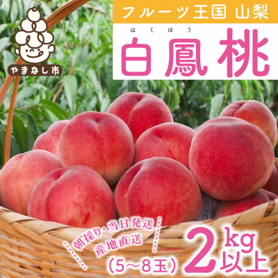 fu.... tax Yamanashi city Yamanashi prefecture production peach white .2kg and more (5~8 sphere )..... tax 