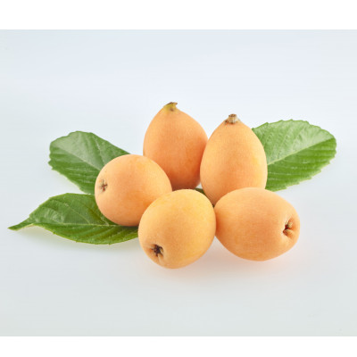 fu.... tax ... . block ..... loquat approximately 1kg