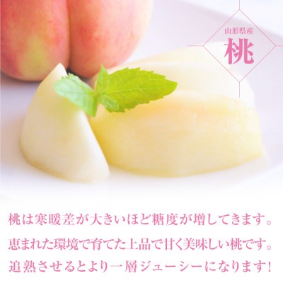 fu.... tax Yamagata prefecture [ preceding acceptance (. peace 6 fiscal year shipping )] Yamagata prefecture production peach ( goods kind * sphere number incidental )3kg