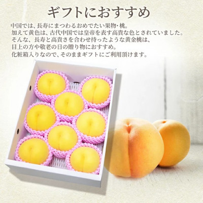 fu.... tax Yamagata prefecture yellow peach 3kg(9~11 sphere rom and rear (before and after) ) gift for large sphere goods kind incidental Yamagata prefecture production [. peace 6 year production preceding acceptance ]