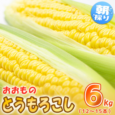 fu.... tax Shimotsuma city preceding acceptance 24 year 7 month shipping!! Shimotsuma production morning .. corn (.. thing )6kg