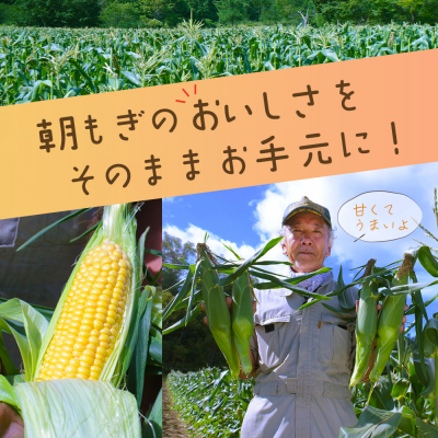 fu.... tax . front block [. peace 6 year production preceding acceptance ] Hokkaido .... production sweet corn 7ps.@( Hokkaido production corn .. millet refrigeration )