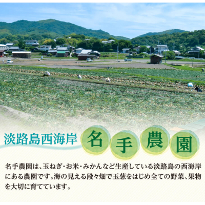 fu.... tax .. city [ fixed period flight ] name hand agriculture .. Awaji Island Special production sphere leek (5kg).. rice (3kg). 10 months course 