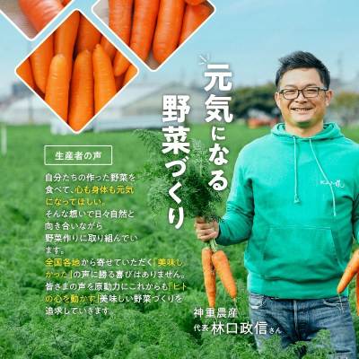 fu.... tax . south city with translation![ Madonna Carrot ] 3kg carrot vegetable H105-095