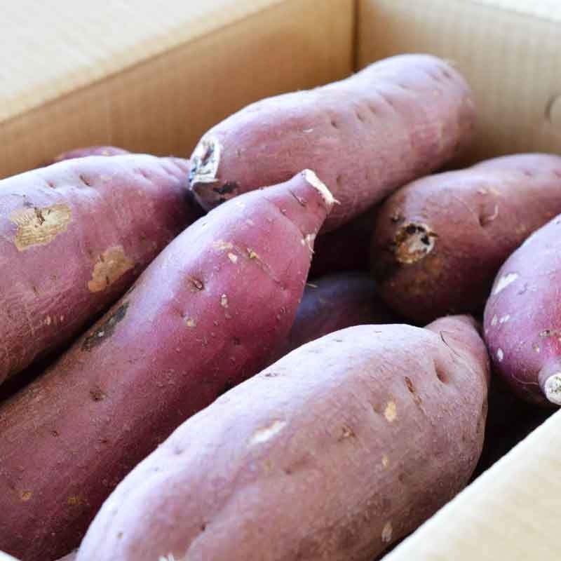  sweet potato 5kg size mixing . is .. Ibaraki prefecture production Satsuma corm 