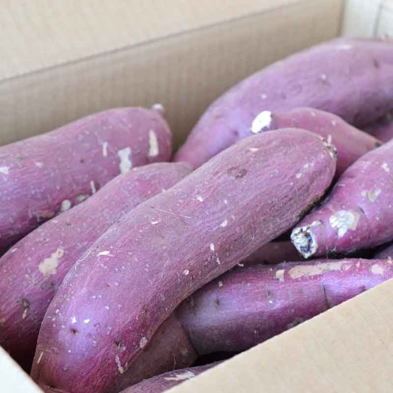  sweet potato 5kg size mixing . is .. Ibaraki prefecture production Satsuma corm 