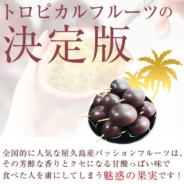 [ reservation commodity ] shop . island production passionfruit 1.2Kg(L sphere 11 piece ~12 piece ) direct delivery from producing area 