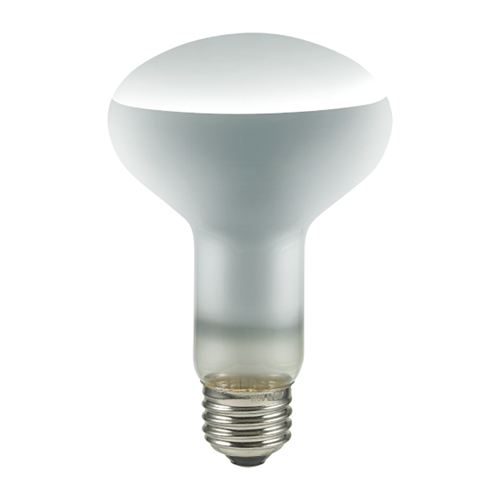 長寿命レフランプ 100W ERF110V100W-L×1の商品画像