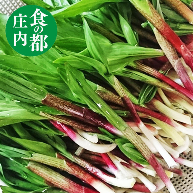  edible wild plants line person garlic approximately 50g Yamagata prefecture . inside production direct delivery from producing area line person garlic meal. capital . inside vegetable 