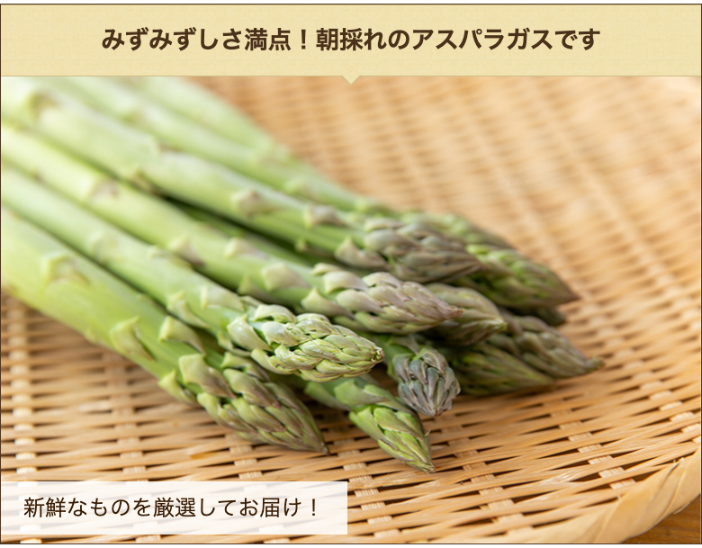  Yamagata префектура производство зеленый спаржа L размер 1kg( примерно 40шт.@)/ ферма скала мыс / бесплатная доставка 