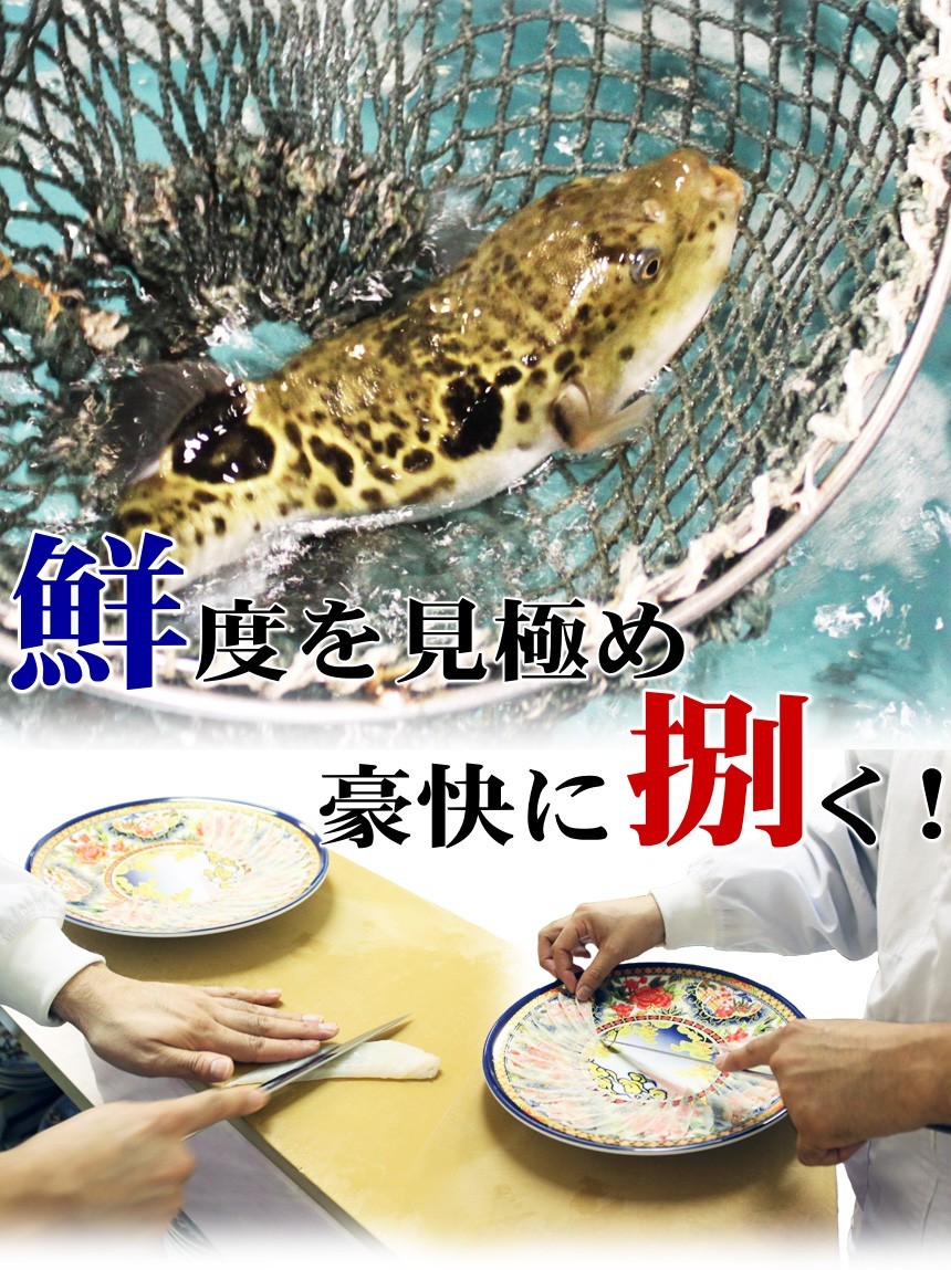 to... sashimi set 24cm pra plate 2-3 portion fugusashi fugu Father's day gift 