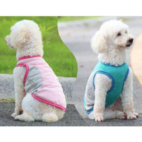  dog for cooling the best small for medium-size dog ..... walk the best .. do ... middle . measures heat countermeasure cold sensation the best summer cool shirt outing training pe