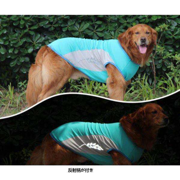  dog for cooling the best small for medium-size dog ..... walk the best .. do ... middle . measures heat countermeasure cold sensation the best summer cool shirt outing training pe