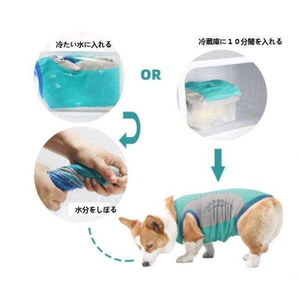  dog for cooling the best small for medium-size dog ..... walk the best .. do ... middle . measures heat countermeasure cold sensation the best summer cool shirt outing training pe