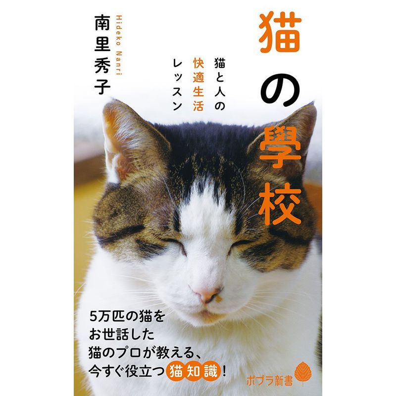  cat. ..: cat . person. comfortable life lesson (po pra new book )