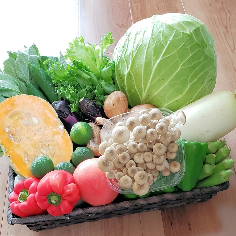  vegetable assortment fresh .. vegetable set 10 kind and more Wakayama production center free shipping 