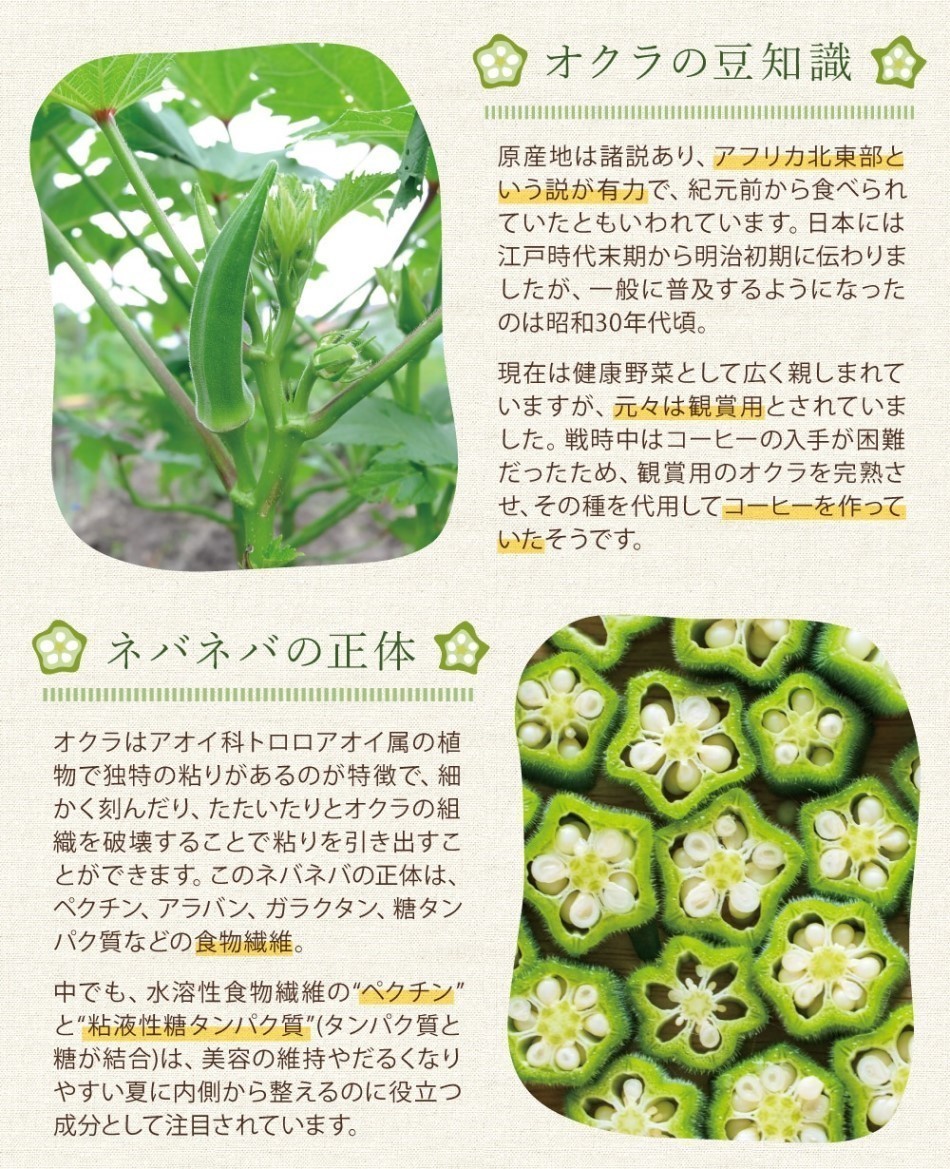  okro ( Kagoshima prefecture production ) no addition 100% powder 560g (70g ×8 piece )... land lotus root ne spring ba vegetable powder 