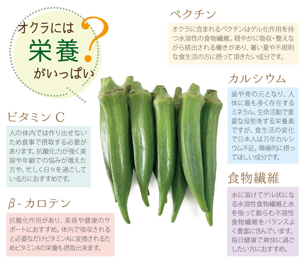  okro ( Kagoshima prefecture production ) no addition 100% powder 560g (70g ×8 piece )... land lotus root ne spring ba vegetable powder 