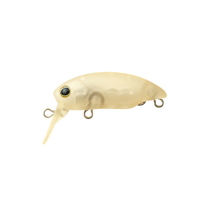 エンドヌケオレ