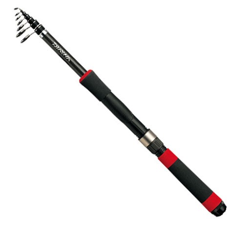 DAIWA（釣り） リバティクラブ ライトパック 30-240 釣り 船竿 - 最