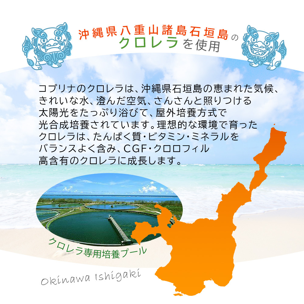  chlorella Okinawa prefecture Ishigakijima production 300 bead 1 piece 30 day minute [ small bead tablet / leaf green element /ru Tein / black ro Phil / cellulose / iron / vitamin / health / supplement / nutrition assistance / domestic manufacture ]