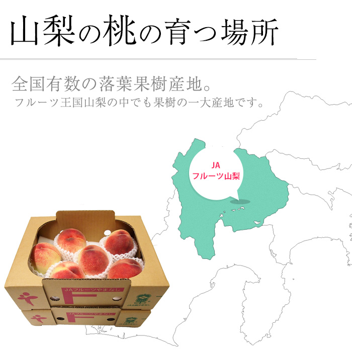  peach Yamanashi prefecture production preeminence goods approximately 3kg approximately 1.5kg(5~7 sphere )×2 box 