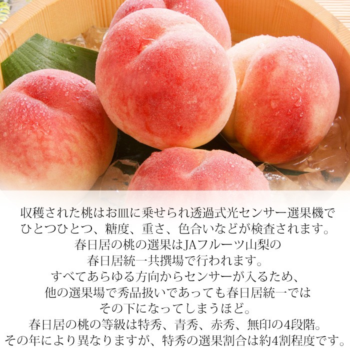  peach Yamanashi prefecture production spring day .. .. Special preeminence goods approximately 1.8kg 7~8 sphere 