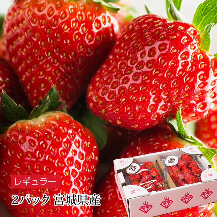  strawberry Miyagi prefecture production migaki strawberry regular 2 pack (2 pack /1 box )