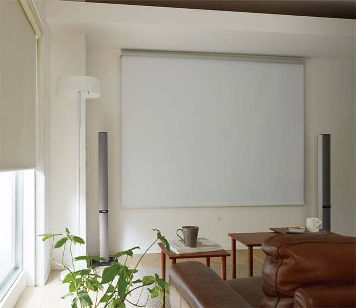  проектор экран проектор для .. roll screen tachi кожа ширина 270cm× длина 180cm в течение размер заказ feaII( защита нет ) RS-8559