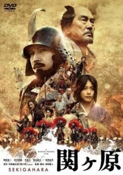 . штук . прокат б/у DVD