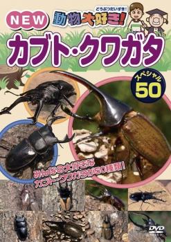  животное большой нравится!NEW Kabuto * рогач специальный 50 б/у DVD