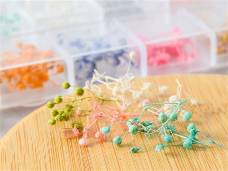  dry flower . go in parts rental mi saw MIX color 12 color set resin raw materials gel nails nature material flower . pressed flower accessory parts resin 