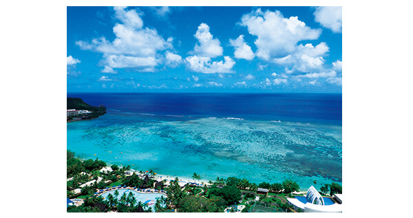 新作通販 Ricoh デジカメ 1600万画素 Calsモード 水中撮影 雪山 代引不可 ユアサeネットショップpaypay店 通販 Payp リコー タフネスカメラ Wg 50 ブラック デジタルカメラ 防水 耐衝撃 防塵 耐寒 コンパクト 限定品特価 Detroithives Org