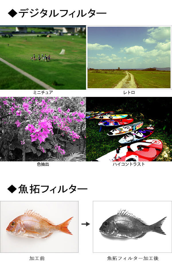購入廉価 Ricoh リコー タフネスカメラ Wg 6 オレンジ デジタルカメラ 防水 耐衝撃 防塵 耐寒 コンパクト デジカメ 00万画素 水中撮影 Gps機能 Calsモード 代引不可 オンラインストアファッション Apea Asia