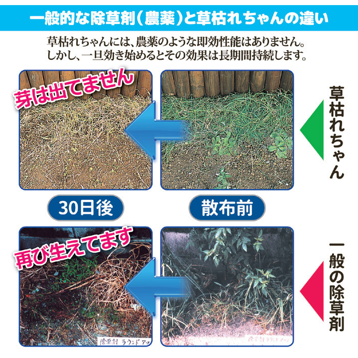 66 以上節約 Grandir2完全無農薬除草材 草枯れちゃん ５kg ガーデニング 園芸用品 分類除草剤 除草シート 芝生 Trademarketingforce Com Br