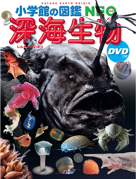  Shogakukan Inc.. иллюстрированная книга NEO глубокий море живое существо DVD есть ( место хранения BOX есть * бесплатная доставка * условия иметь )